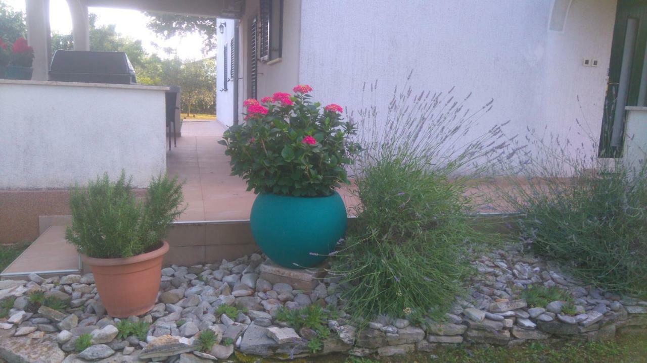 Apartmani Bauk Пореч Екстериор снимка